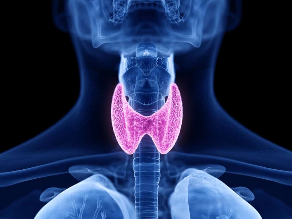 Thyroid Nodules : थायरॉइड नोड्यूल क्या है?