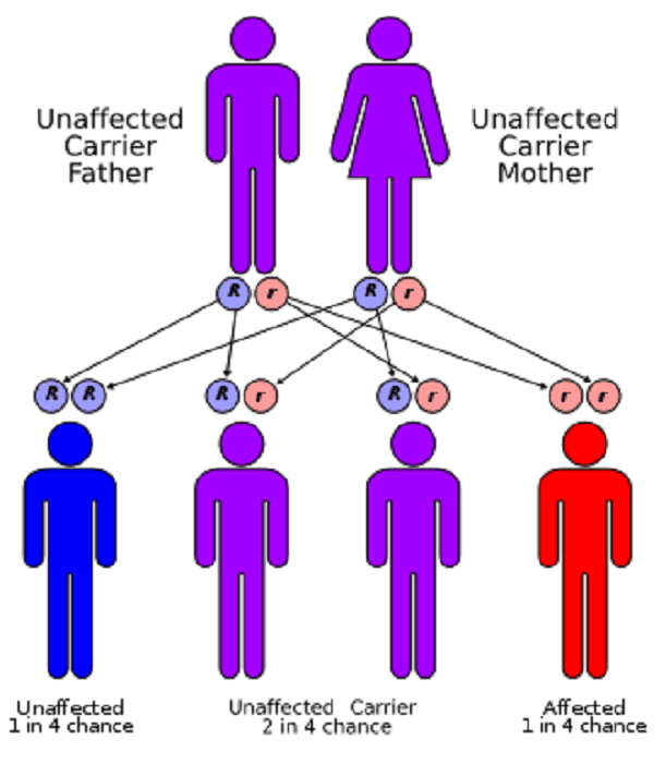 Wilson disease विल्सन डिजीज क्या है? इसके कारण और उपाय हैलो स्वास्थ्य