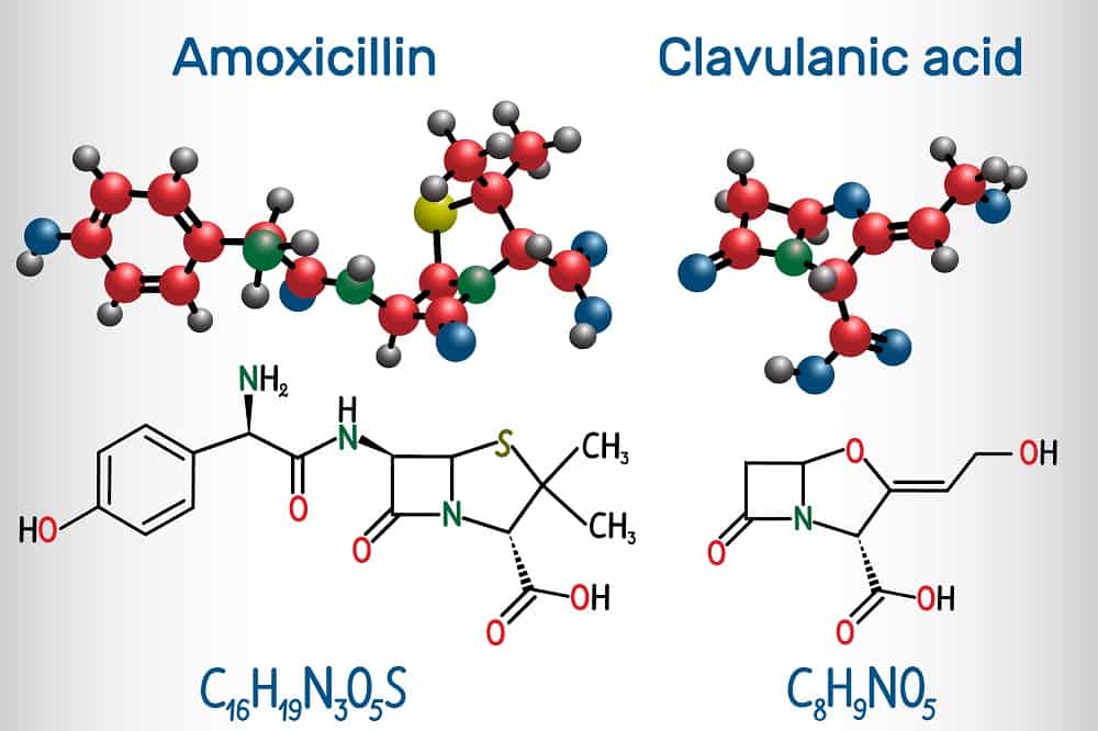 Amoxicillin+Clavulanic Acid: एमोक्सिसिलिन+क्लैवुलेनिक एसिड क्या है? जानिए इसके उपयोग, साइड इफेक्ट्स और सावधानियां