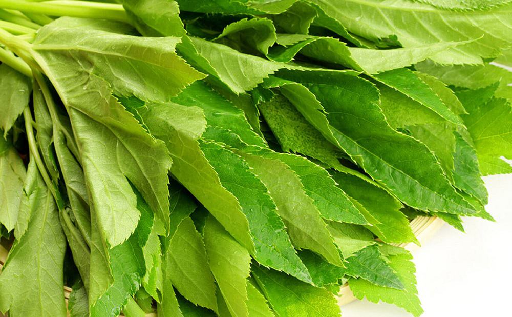 Ashitaba: अशिताबा क्या है?