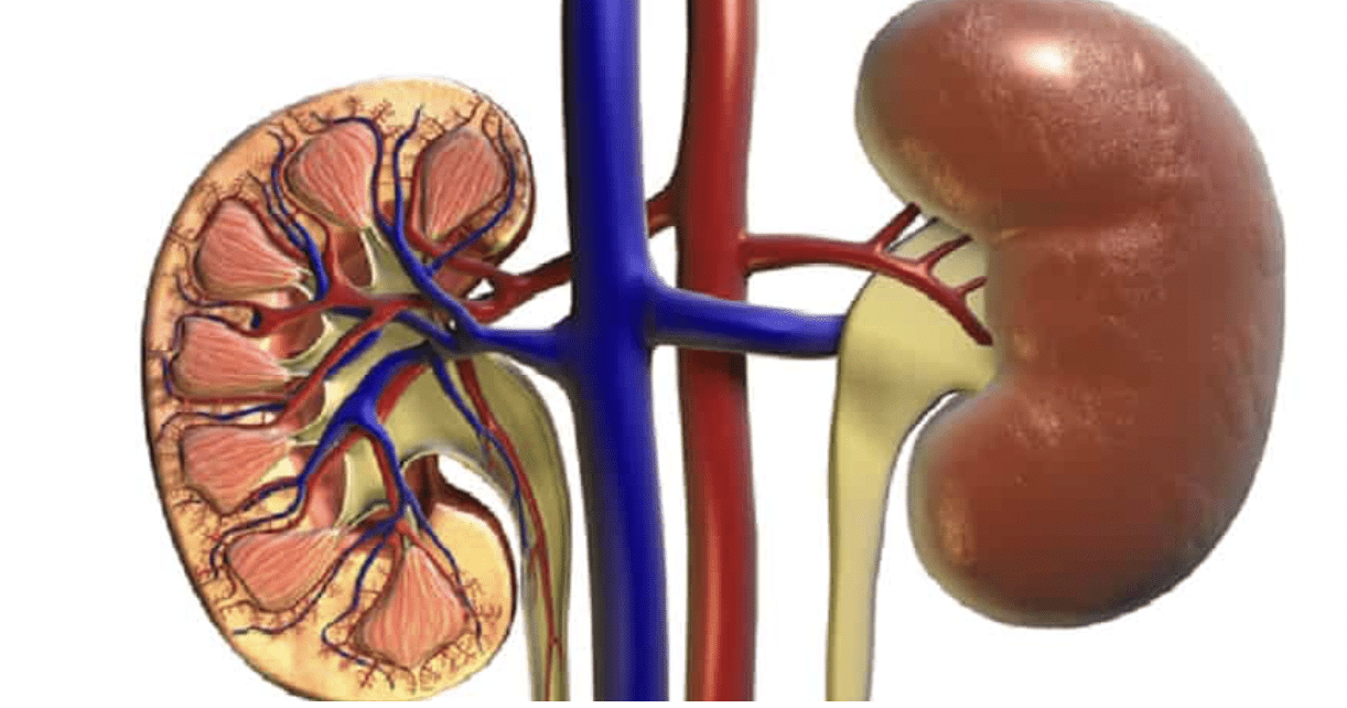 Bartter Syndrome : बार्टर सिंड्रोम क्या है?