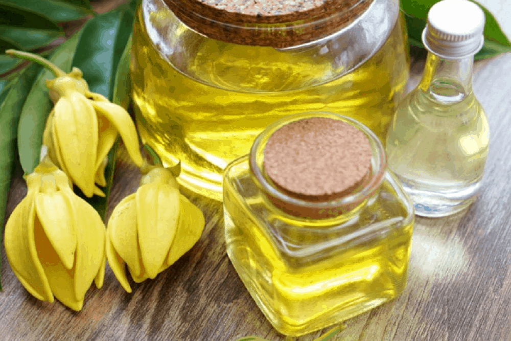 Ylang Ylang Oil: य्लांग य्लांग ऑयल क्या है?