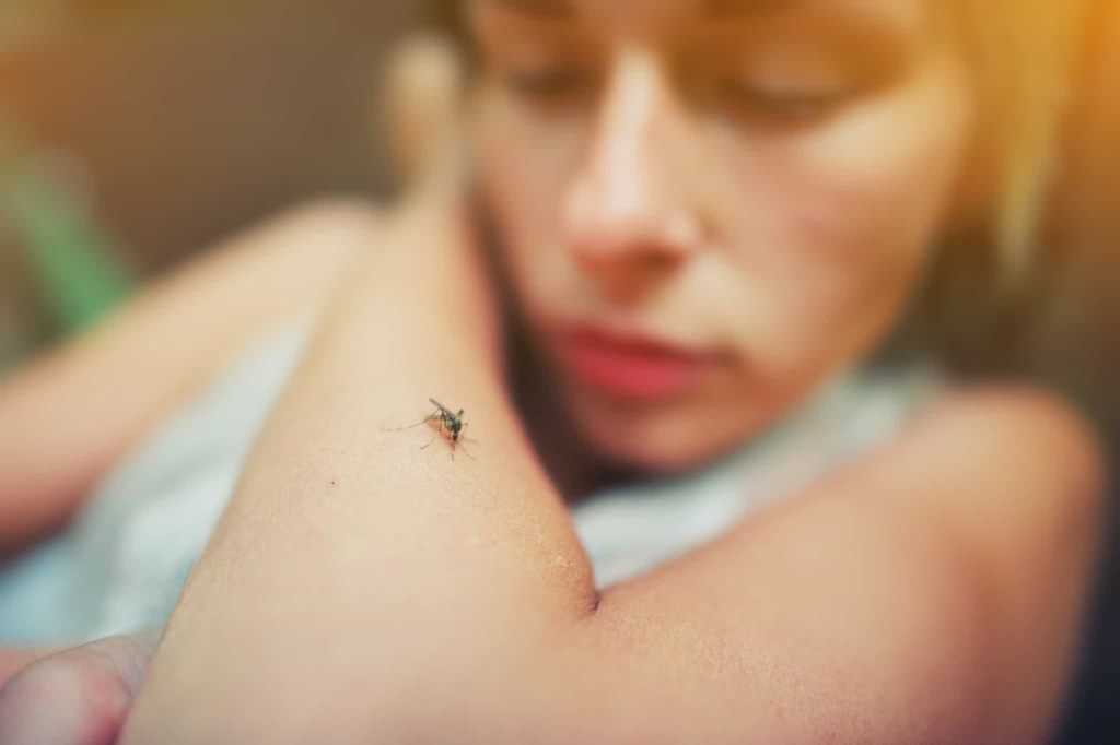 डेंगू के लक्षण-Symptoms of dengue
