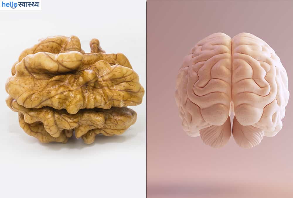 बॉडी पार्ट जैसे दिखने वाले फूड, उन्हीं अंगों के लिए होते हैं फायदेमंद भी