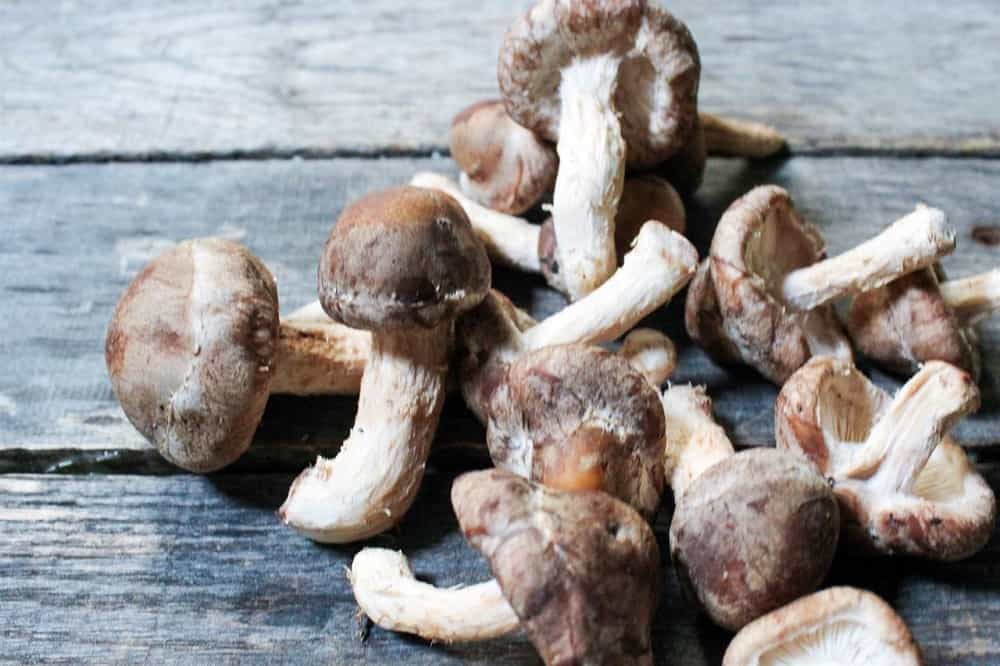 Lentinan: लेंटिनन क्या है?