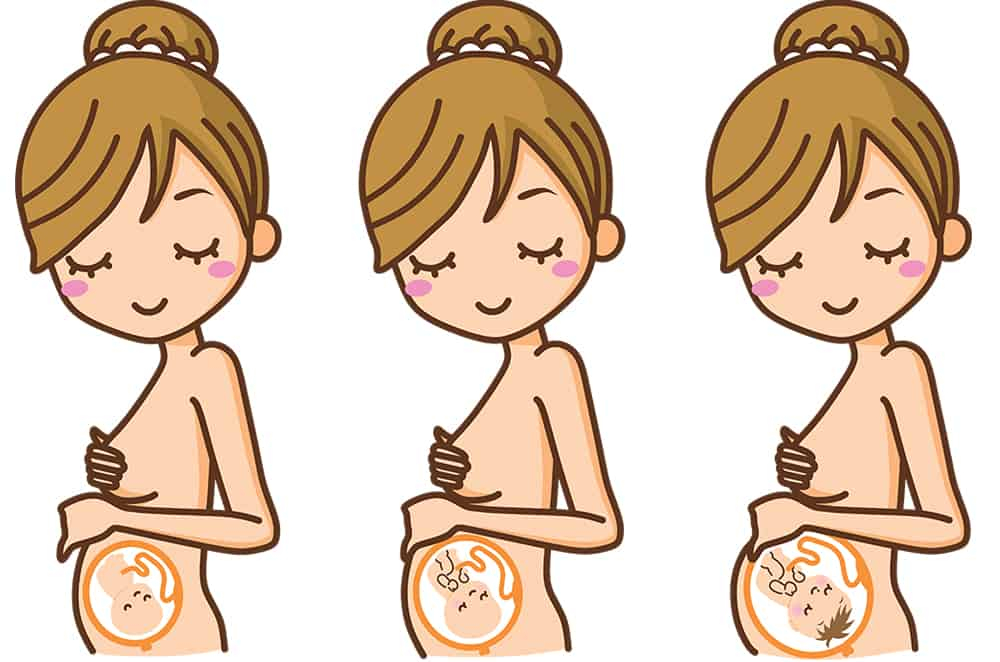 फीटल का वजन: जानें कैसे होता है गर्भावस्था में फीटल का विकास