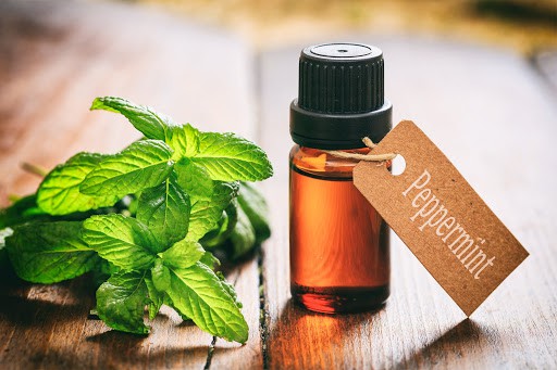 Peppermint Oil: पुदीना का तेल क्या है? जानिए इसके फायदे और साइड इफेक्ट