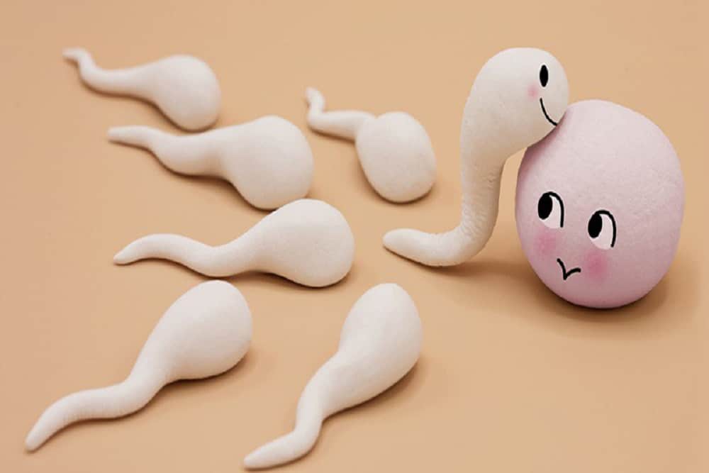 ओवुलेशन के लक्षण : प्रेगनेंट होने की है तैयारी तो रखें इन बातों का ध्यान