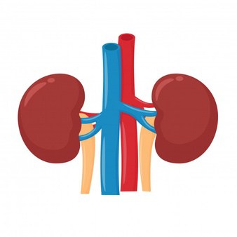 Acute kidney failure: एक्यूट किडनी फेलियर क्या है?