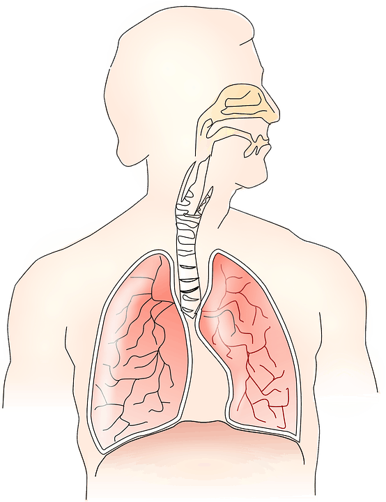 Upper Airway Obstruction: अपर एयरवे ऑब्स्ट्रक्शन क्या है?