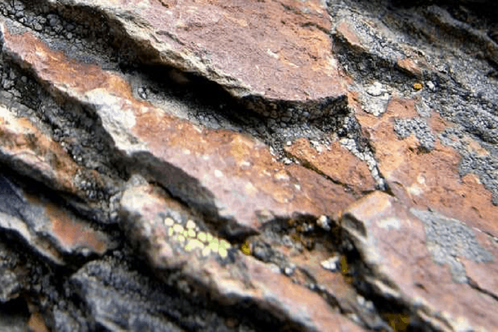 Colloidal Minerals: कोलॉयडल मिनरल्स क्या हैं?