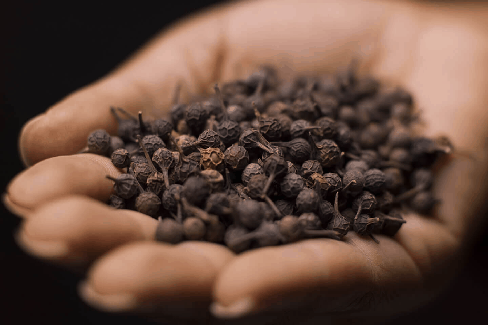 शीतलचीनी (कबाबचीनी) के फायदे एवं नुकसान – Health Benefits of Cubeb