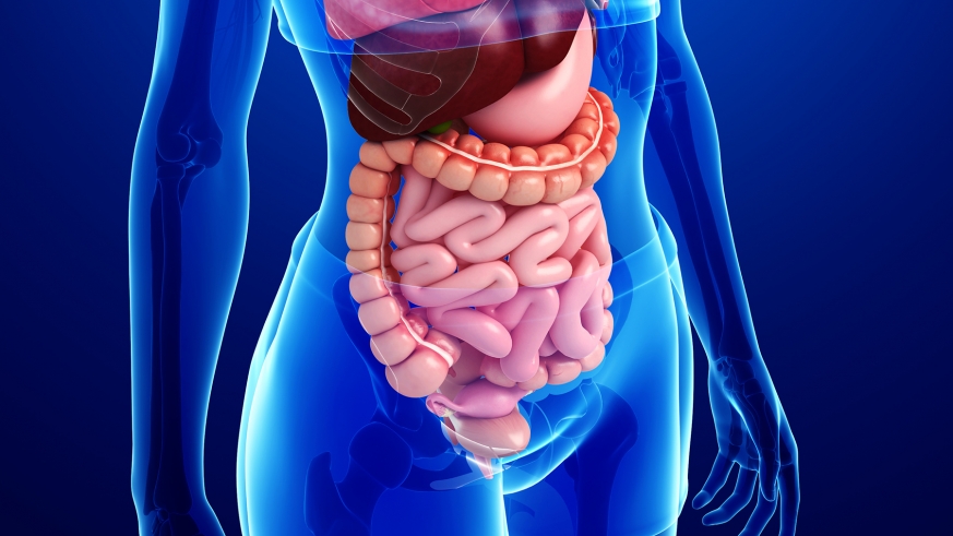 Intestinal obstruction:  इंटेस्टाइनल ऑबस्ट्रक्शन क्या है ?
