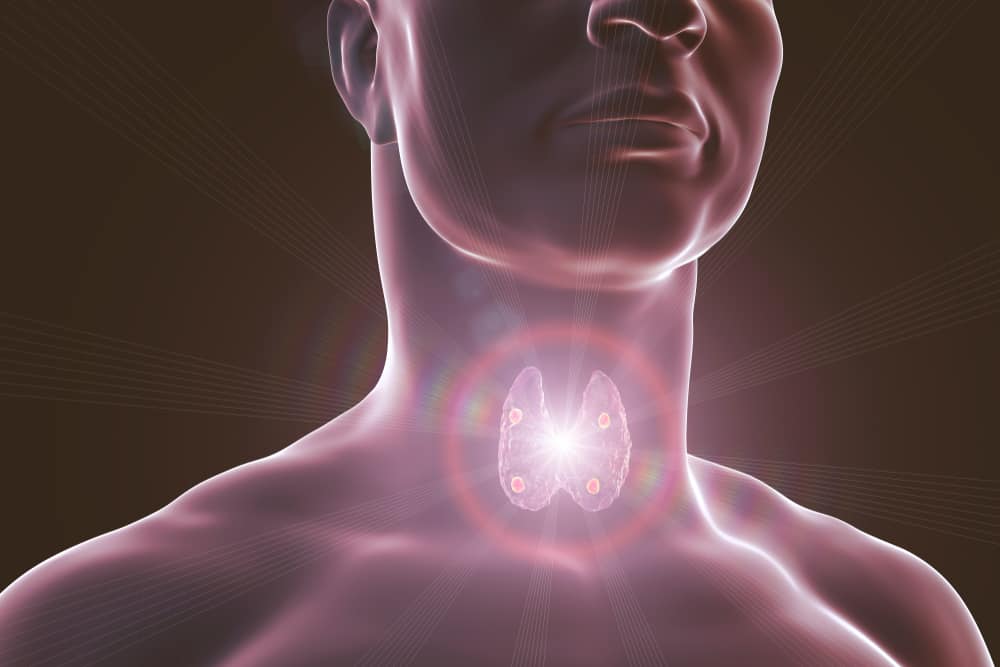 Parathyroidectomy : पैराथाइरॉइडेक्टमी क्या है?