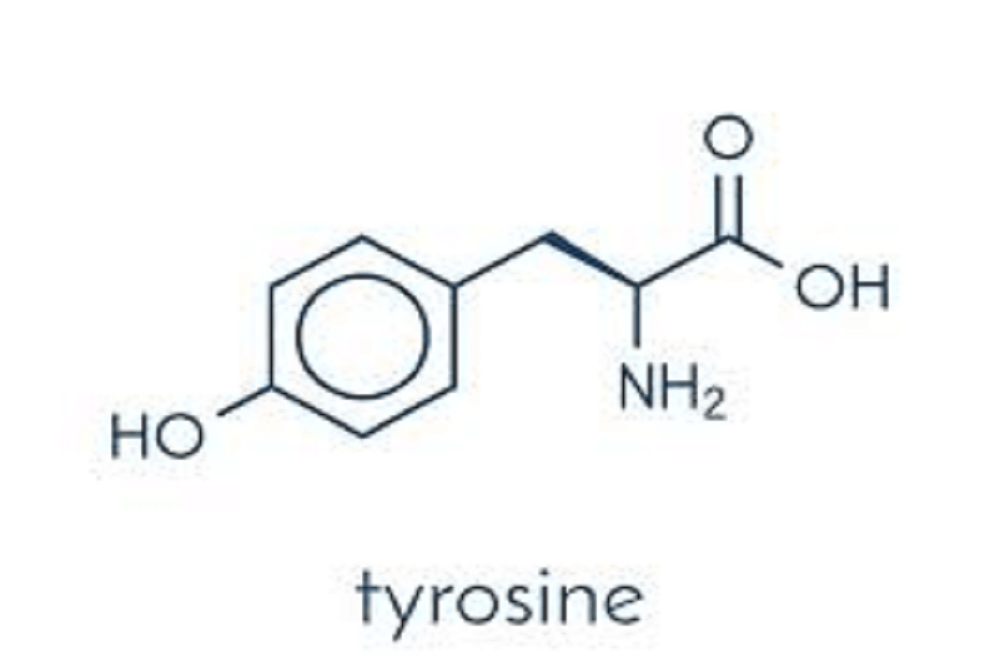 Tyrosine: टायरोसिन क्या है? जानिए इसके उपयोग, साइड इफेक्ट्स और सावधानियां