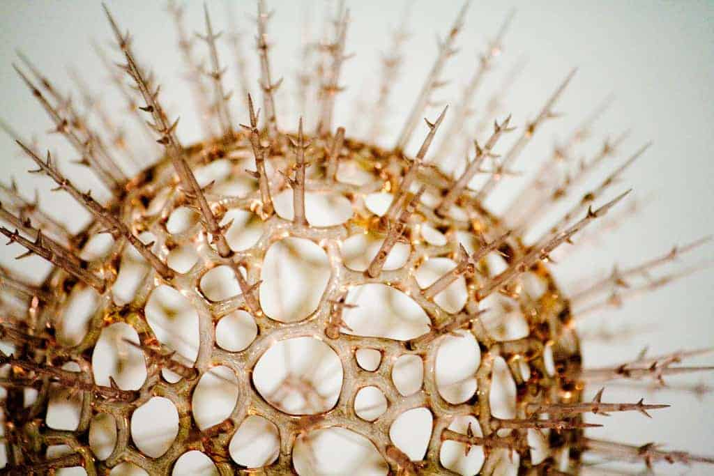 सबसे खतरनाक वायरस ने ली थी 5 करोड़ लोगों की जान, जानें 21वीं सदी के 5 जानलेवा वायरस