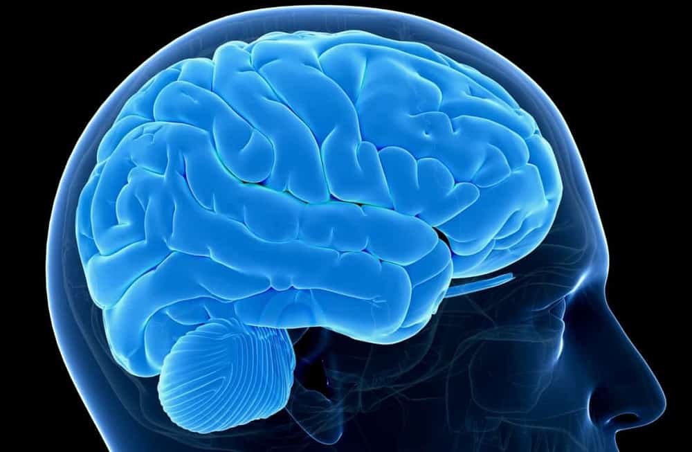 Huntington Disease : हनटिंग्टन रोग क्या है?