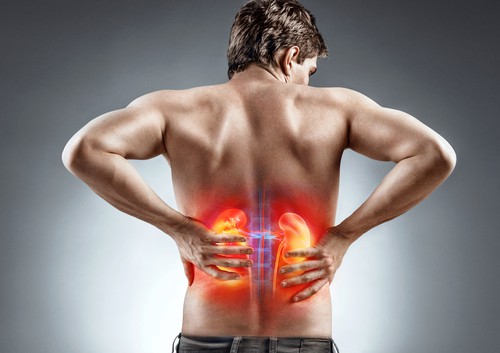 किडनी मरीजों को कोविड-19 से खतरा-kidney marijon ka covid-19 se khatra