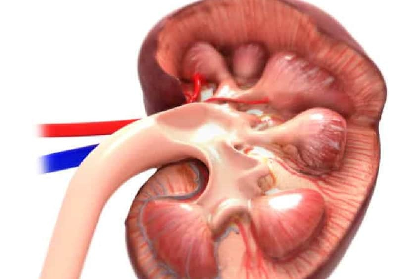 Glomerulonephritis: ग्लोमेरूलोनेफ्राइटिस क्या है?