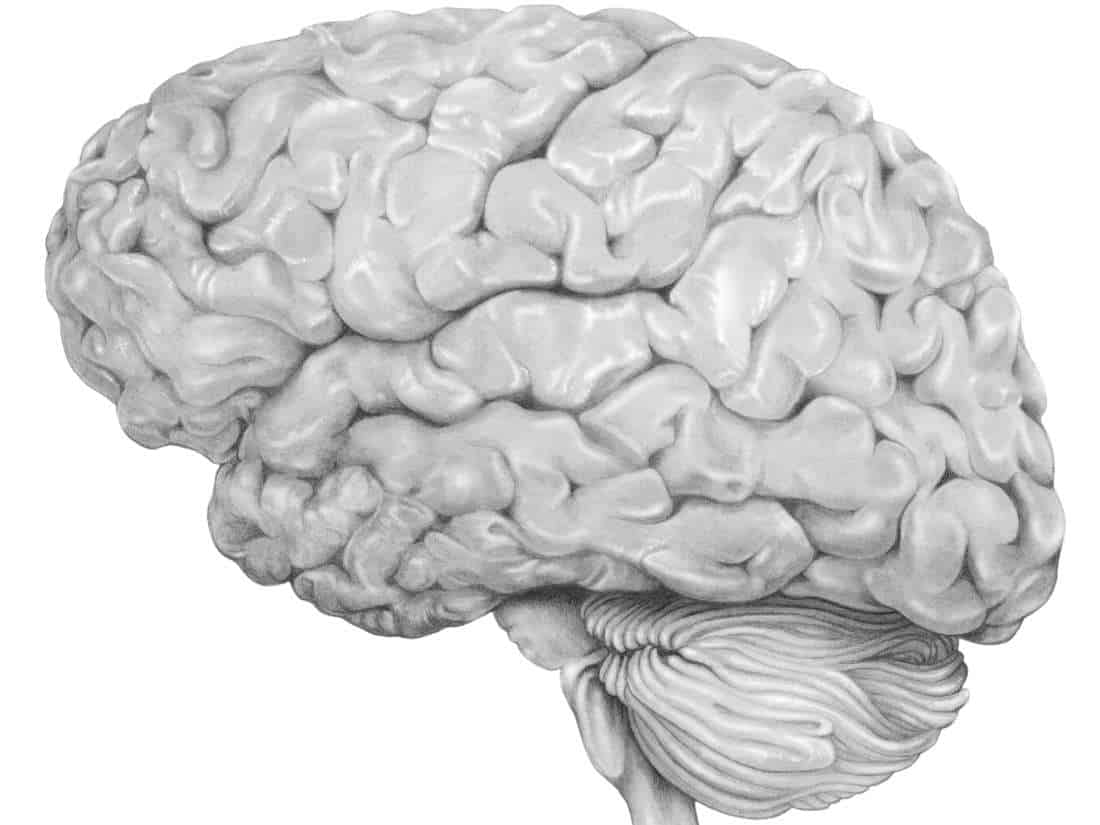 Encephalitis: इंसेफेलाइटिस (दिमागी बुखार) क्या है? जानिए इसके कारण, लक्षण और उपाय