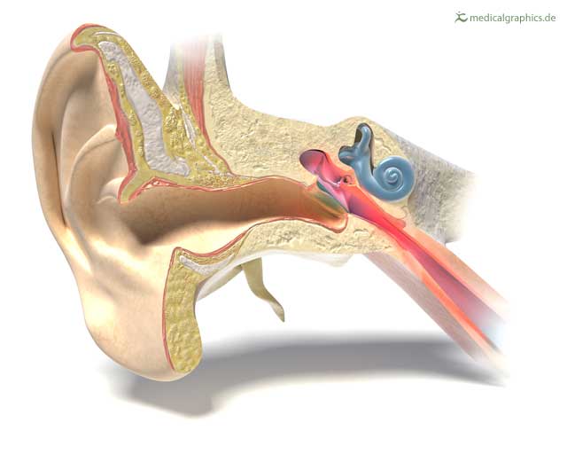 Ear Canal Infection: बाहरी कान का संक्रमण क्या है? जानें इसके कारण, लक्षण और उपाय