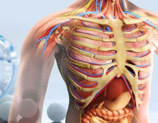 Gaucher Diesease : गौशर रोग क्या है?