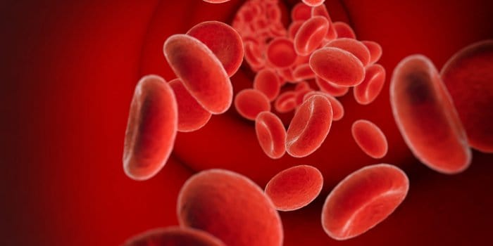 Blood clotting disorder : ब्लड क्लॉटिंग डिसऑर्डर क्या होता है?