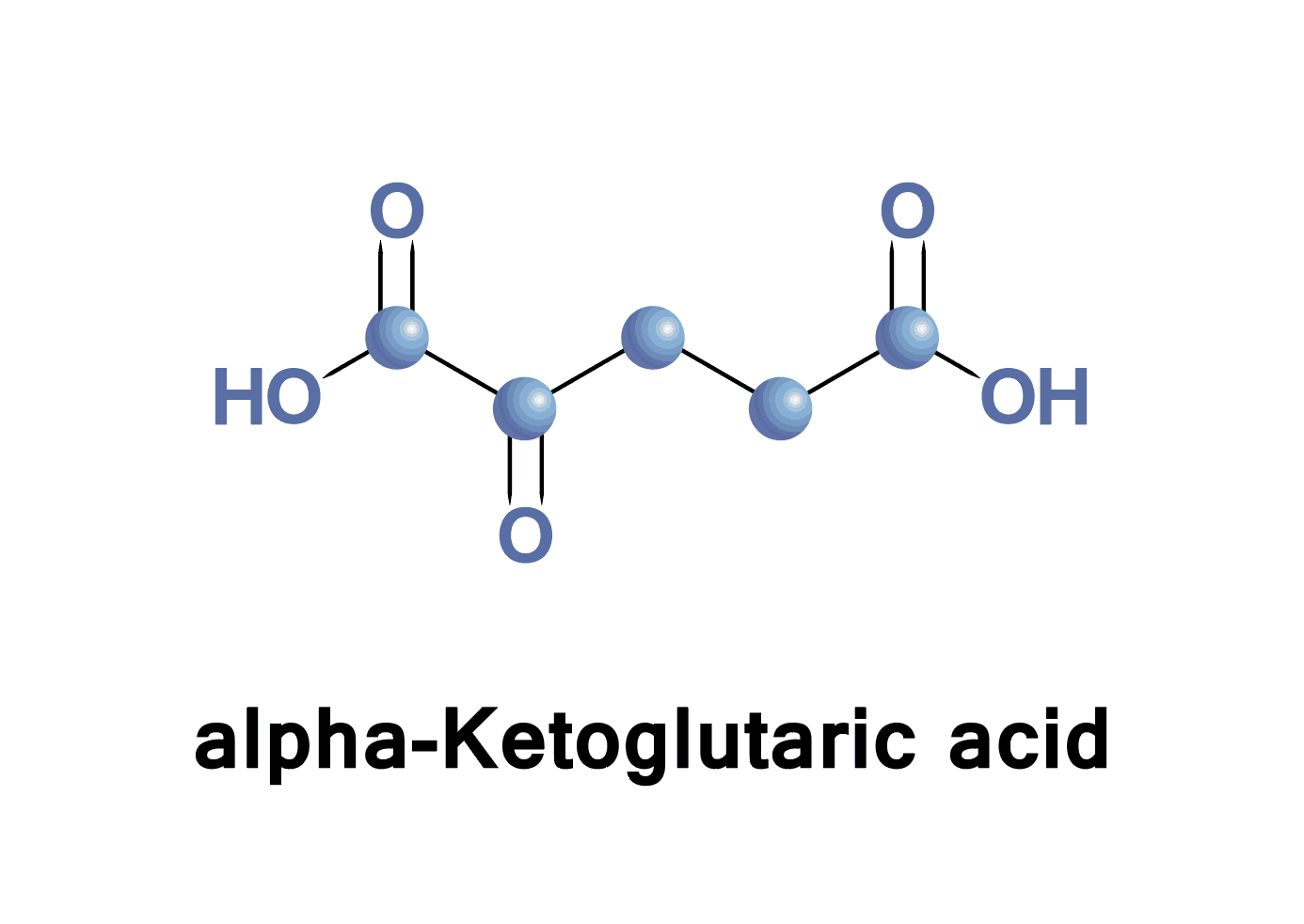 alpha-ketoglutarate: अल्फा कीटोग्लूटरेट क्या है?
