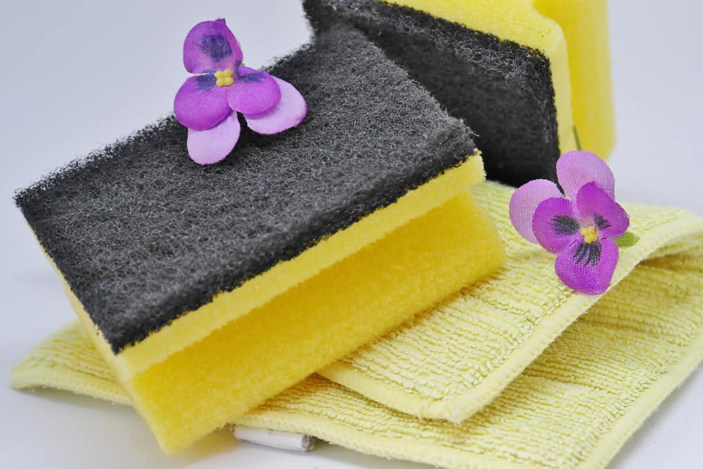 बर्तन धोने का स्क्रबर आपको कर सकता है बीमार, जानें किस बर्तन के लिए कौन सा जूना है सही