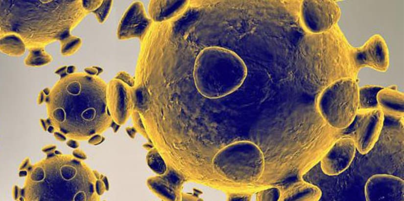 कोरोना वायरस लेटेस्ट अपडेट - Coronavirus latest update