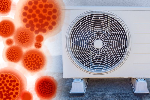 क्या हवा से भी फैल सकता है कोरोना वायरस, क्या कहता है WHO