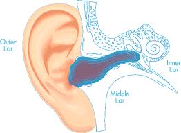 Swimmer's ear: स्विमर्स इयर क्या है?