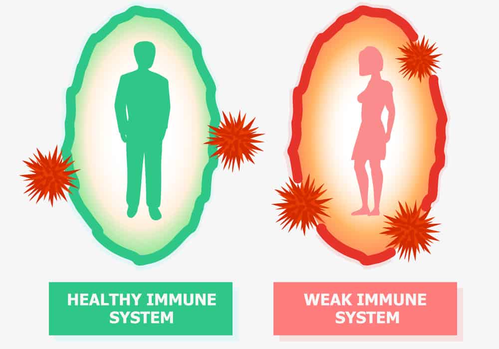 रोग प्रतिरक्षा प्रणाली : Immunity system booster