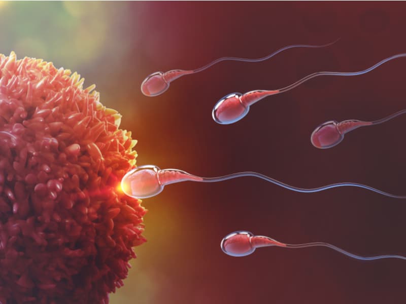 लेट ओव्यूलेशन (Late ovulation) हो सकता है इंफर्टिलिटी का कारण, समय पर ट्रीटमेंट है जरूरी!