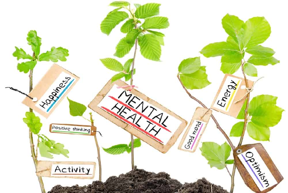 क्या सच में तनाव दूर करने के पौधे से दूर होता है स्ट्रेस?