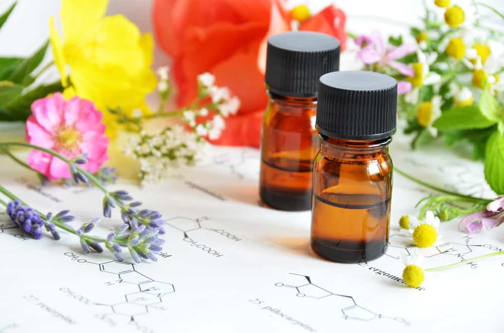 Rose Geranium Oil: रोज जेरेनियम ऑयल क्या है?
