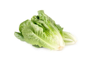 Romaine - Green Leafy Vegetables