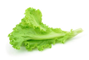 Lettuce Leaves