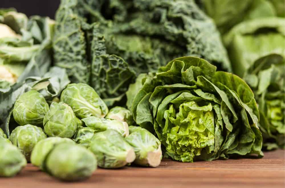 Green Leafy Vegetables: The Best 11 of All