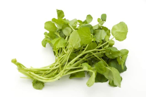 Watercress