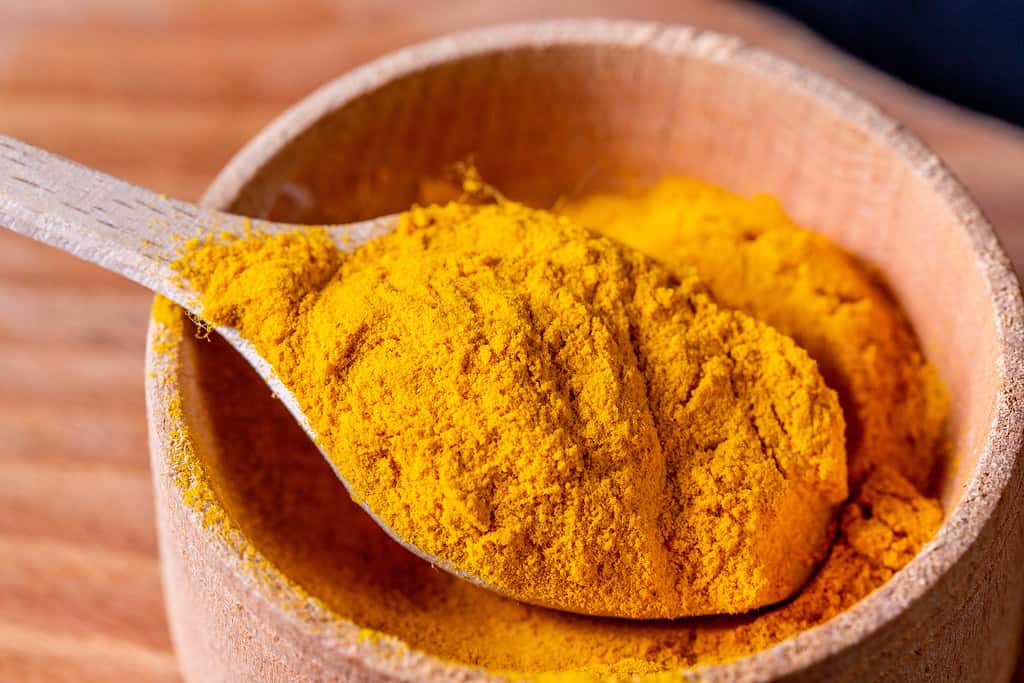 प्रेग्नेंसी में हल्दी, Turmeric in pregnancy
