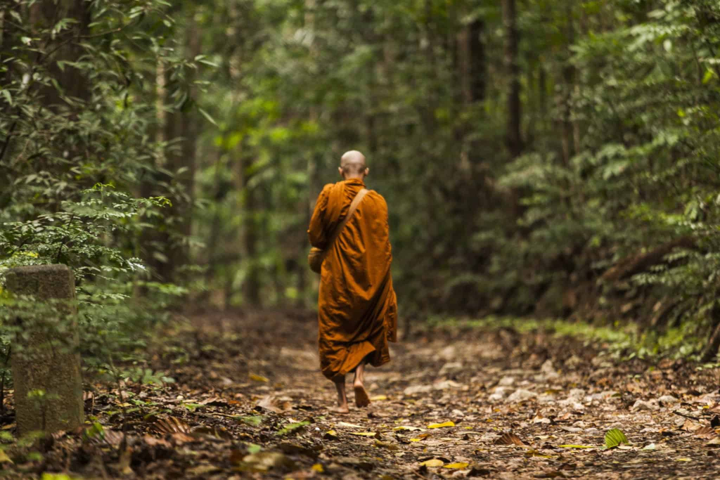 वॉकिंग मेडिटेशन /Walking meditation ke fayde