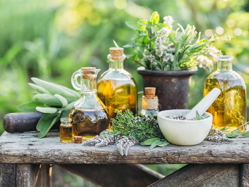 ये 9 हर्ब्स हाइपरटेंशन को कर सकती हैं कम, जानिए कैसे करना है इनका उपयोग