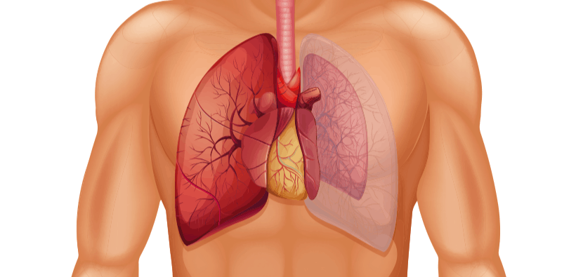 Pneumothorax (spontaneous) : न्यूमोथोरैक्स क्या है?