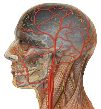 Giant cell Arteritis: जायंट सेल आर्टेराइटिस क्या है?