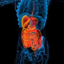 Intussusception : इंटससेप्शन क्या है?