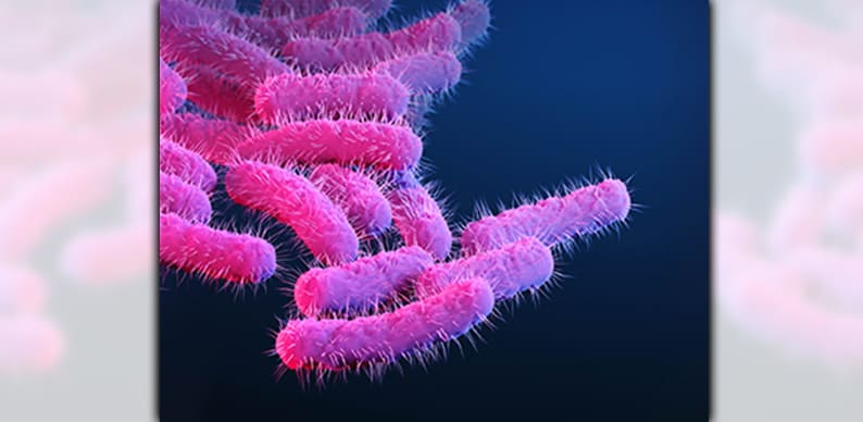 Shigellosis : शिगेल्लोसिस क्या है?