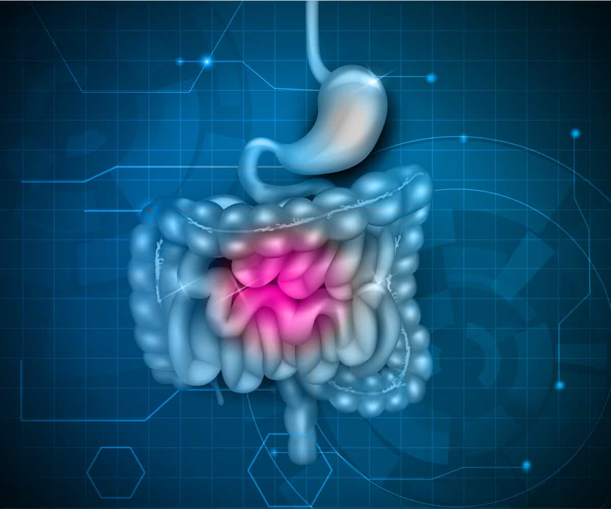 Small intestine cancer: छोटी आंत का कैंसर क्या है? जानिए इसके कारण, लक्षण और उपाय
