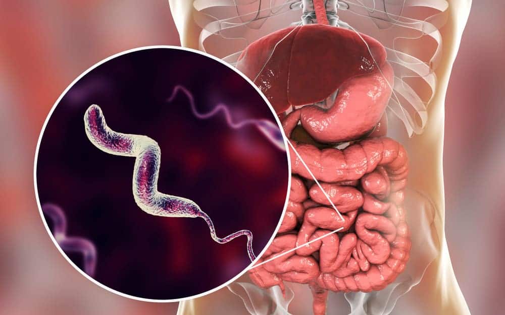 क्या आप फूड बोर्न डिजीज और फूड प्वाइजनिंग को एक समझते हैं, जानें दोनों में अंतर