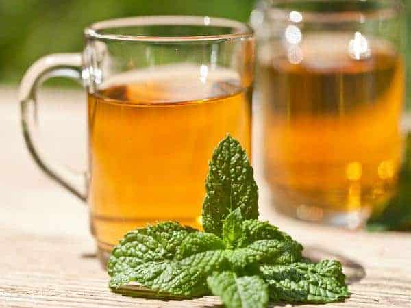 Spearmint: स्पीयर मिंट क्या है?